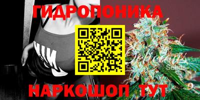 дмт Бузулук