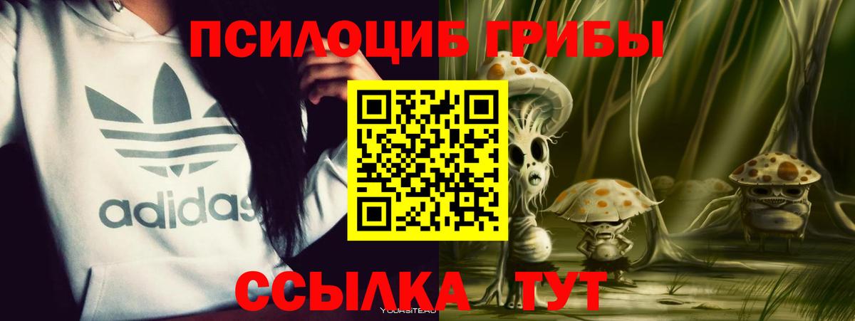 Галлюциногенные грибы Psilocybine cubensis Саки